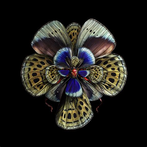 Totum Revolutum: Las Especiales Flores de Seb Janiak