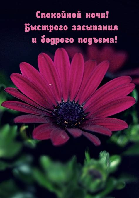 Картинки с надписями. Спокойной ночи! Быстрого засыпания и бодрого ...