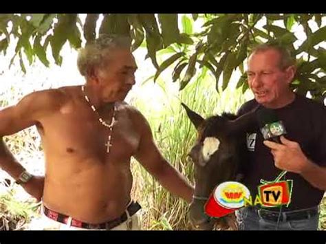 Homens Comendo A Egua - HOMENS DE 30 ANOS TEM RELAÇÕES COM EGUA DE 6 MESES - YouTube