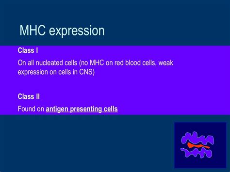HLA and antigen presentation