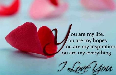 Romantic Valentines Day Quotes Messages For Girlfriend and Boyfriend