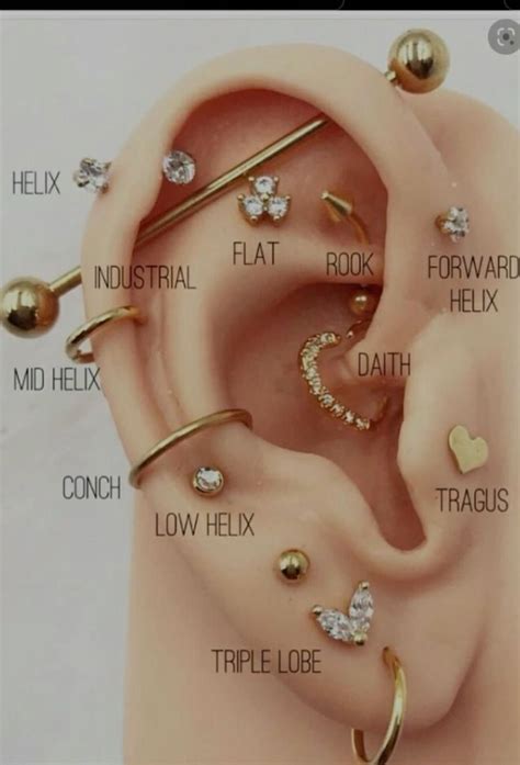 ear piercing   cody chapple blog