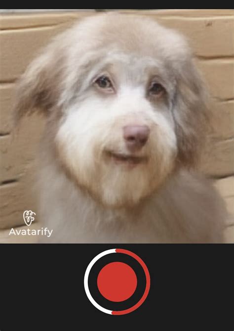 Avatarify – animate any face with AI - TapSmart