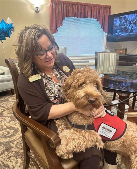 The york funeral home brookside drive fredericton garden secret 10