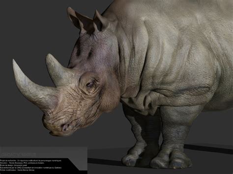ArtStation - Rhinocéros