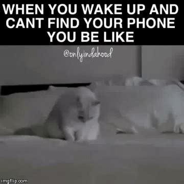 Skylar Mae S Gif Haunts Your Phone What Could It Actually Mean news