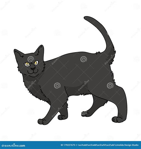 Cute Cartoon Bombay Cat Vector Clipart. Pedigree Kitty Breed for Cat