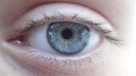 images gratuites sourcil bouche cil oeil bleu eleve fermer