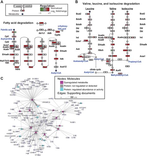 Proteome-metabolome integration reveals increased abundance of enzymes ...