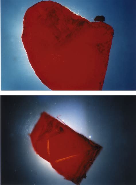 optical microscopy images    cm   transmitted