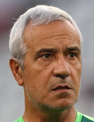 domenico borelli manager profile transfermarkt