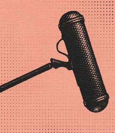 cat voice sound effects  sfx library soundsnap