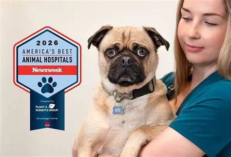 anicira san diego named  newsweeks americas  animal hospitals