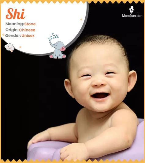 shi  meaning  origin comprehensive guide