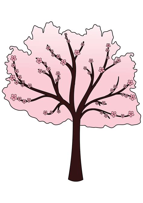 How To Draw A Cherry Blossom Tree In Pencil