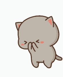 cat love gifs tenor