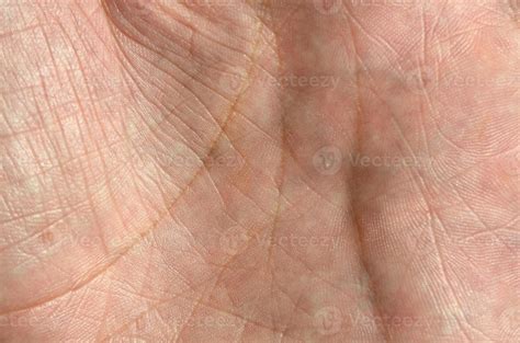 close   human hand skin  visible skin texture  lines