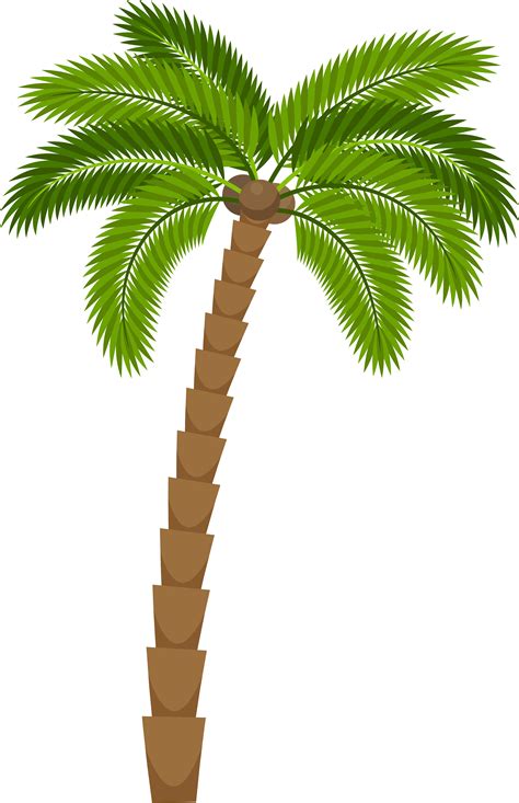 Leaf clipart coconut tree, Leaf coconut tree Transparent FREE for ...