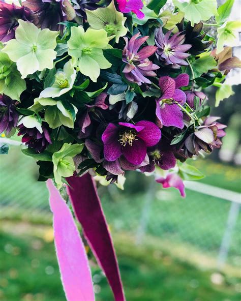 Kate Stone Wedding Flowers (@kate.stone.weddingflowers) • Instagram