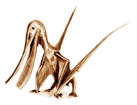 Pterodaustro – THE REPTIPAGE