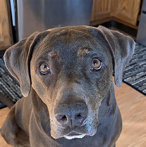 The true story of how mya powell changed her local community 29