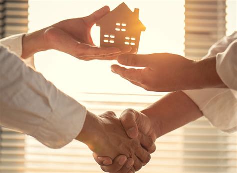 buyers guide livin experts