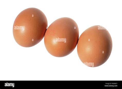eggs brown stock photo alamy