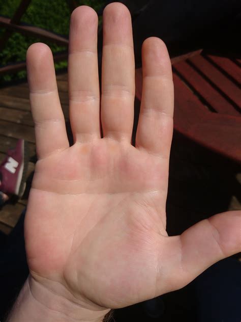My brother has a simian line. Pretty rare. Any thoughts on this? : r ...