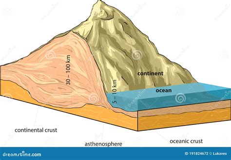 oceanic crust  continental crust