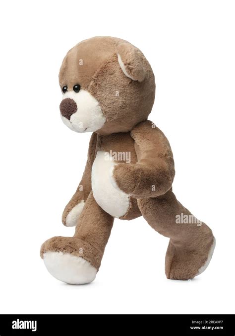 cute teddy bear walking  white background stock photo alamy