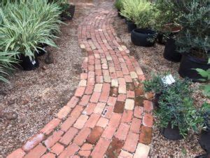 San Antonio's Shades of Green gives gardeners inspiration - San Antonio ...