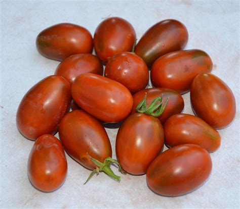 Purple Calabash Tomato Seeds