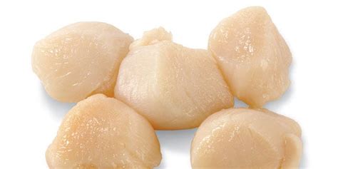 Scallops Nutrition Facts