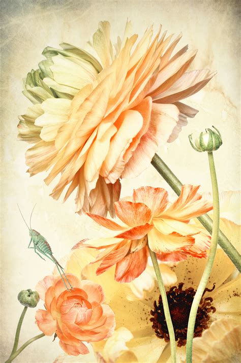 flower poetry