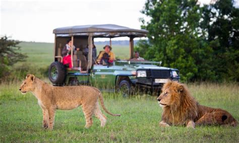 Top 7 five safari activities on a Kenya safari | Kenya Safari Activities