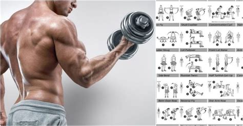 Biceps Workout That Will Have You Bursting Through Your Sleeves - GymGuider.com