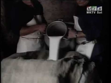 Macedonian Cuisine - Kashkaval od Galichnik - YouTube