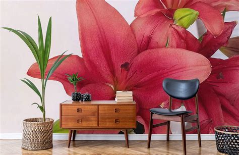 Large Lily Blossom Wallpaper Mural For Home Interior Design