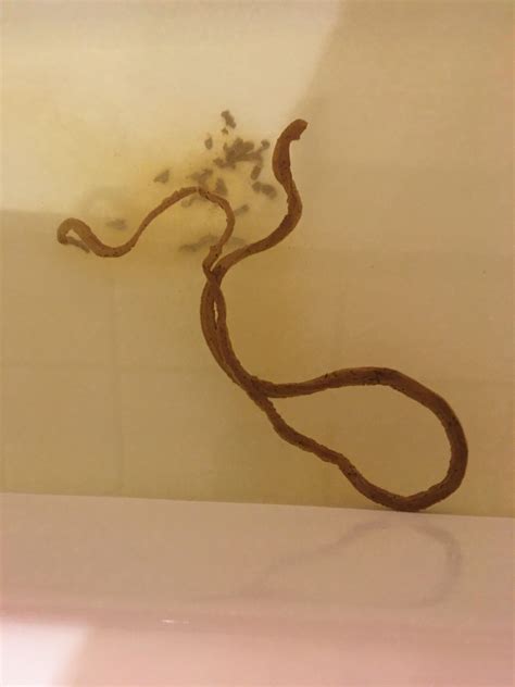 Long Poop! 09-06-2020! 42 Year Young Male! The Elusive Shower Poop! 5