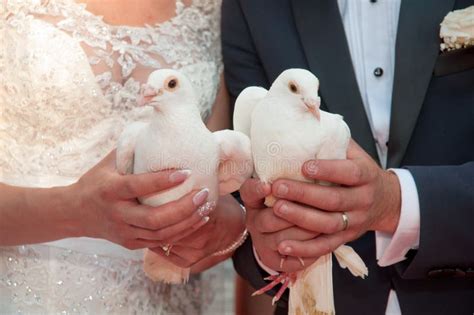 Bride and Groom Holding Doves Stock Photo - Image of bride, family ...