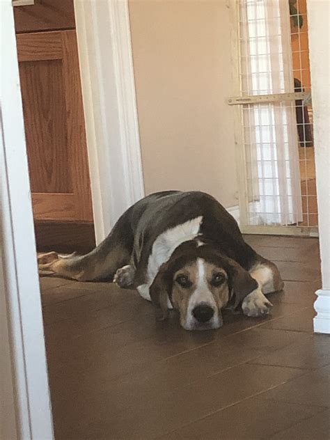 Megbitchell Misterposting | Scrolller