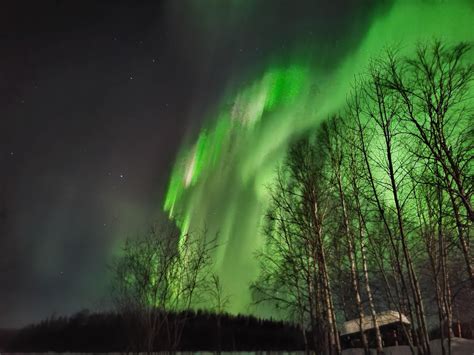 NORTHERN LIGHTS!!! : r/akgingersnapsofficial