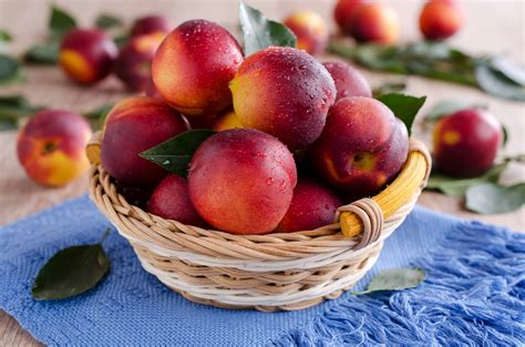 56 Nectarine Varieties: An Overview (With Pictures) | House Grail