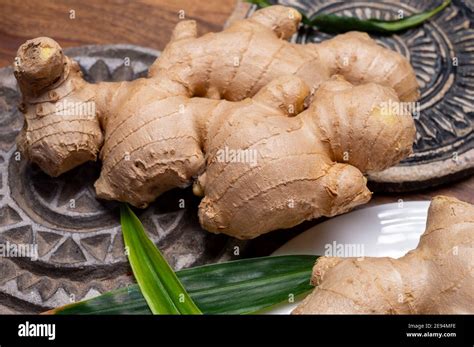 Fresh organic ginger rhizome root used in traditional medicines and for