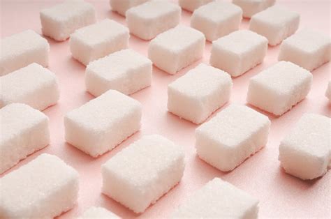 Facts About Sugar Ants: Identification and Control - Insight Pest ...