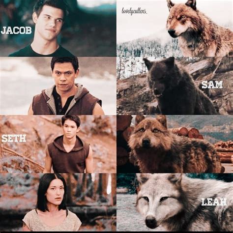Twilight on Instagram: “The Wolf Pack 🐺 • • •Filter: @reignfilters ...
