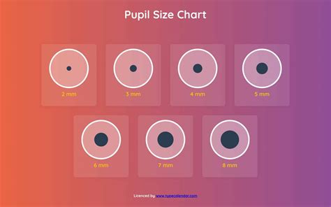 Pupil Size Chart Printable 