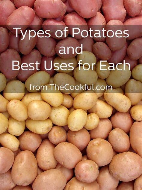 Which Potato Do I Use? in 2024 | Types of potatoes, Potato varieties ...