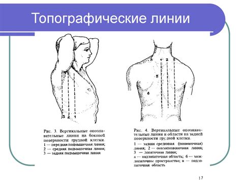 Расспрос больных с заболеваниями органов дыхания. Общий осмотр. Осмотр ...