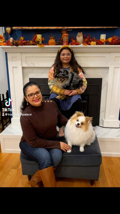 Tracy Mathis (@tracys_pom_palace) • Instagram photos and videos